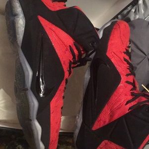 Lebron 12EXt “red paisley “